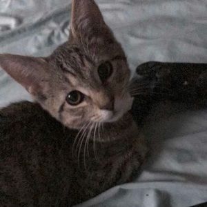 Meet your Posher, Alex